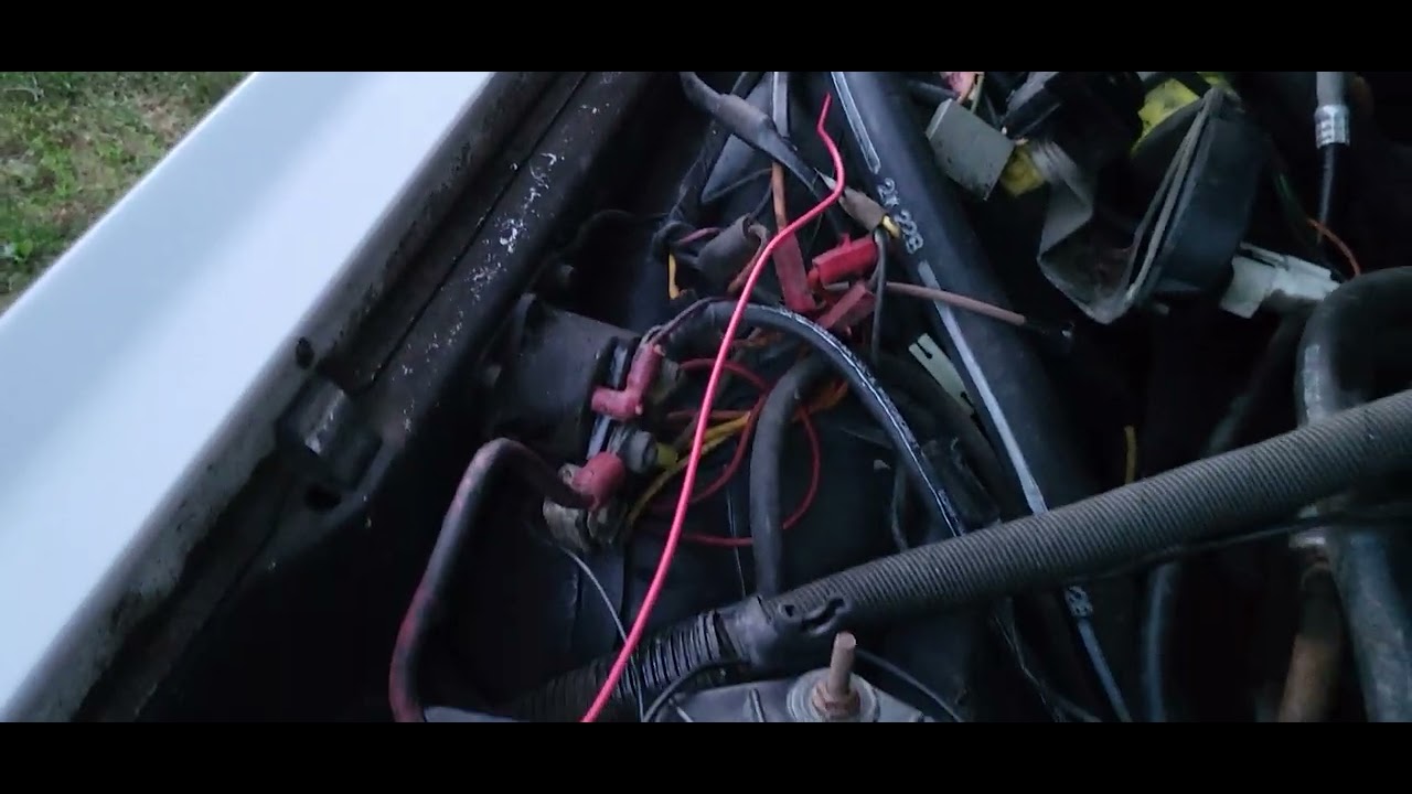 Hornblasters Dixie Horn