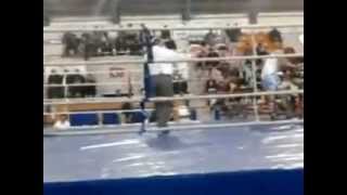 Hüseyin Bellek-Kick Boks Maçı91 Kilo