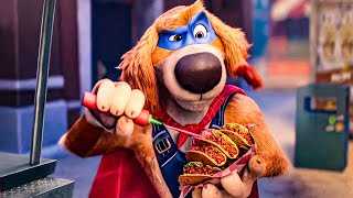 Tacos Emergency - Charlie the Wonderdog Clip (2026)