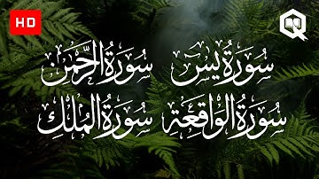 سورة يس + سورة الرحمن + سورة الواقعة + سورة الملك | طلحة علوي