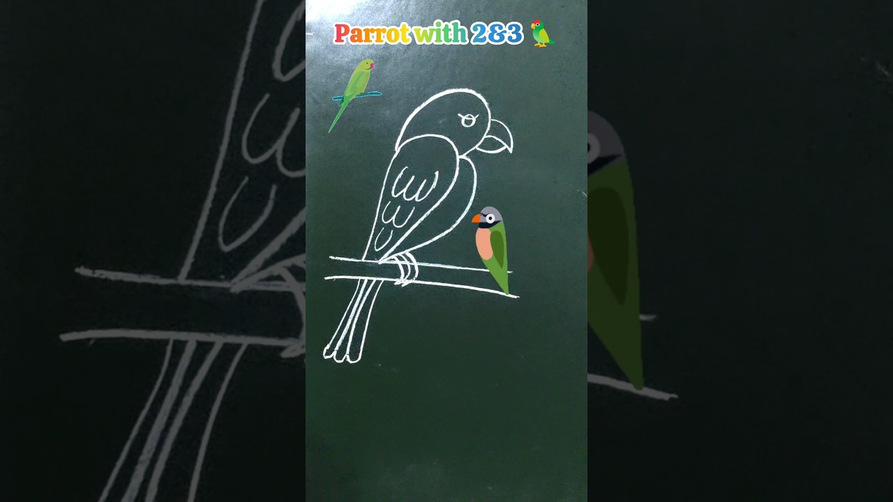 Parrot with 2 & 3 - Number Drawing for Beginners
