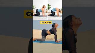 How to fix your Posture ✅ #fixyourposture #spinehealth #viral #trending #yoga #savi_yoga
