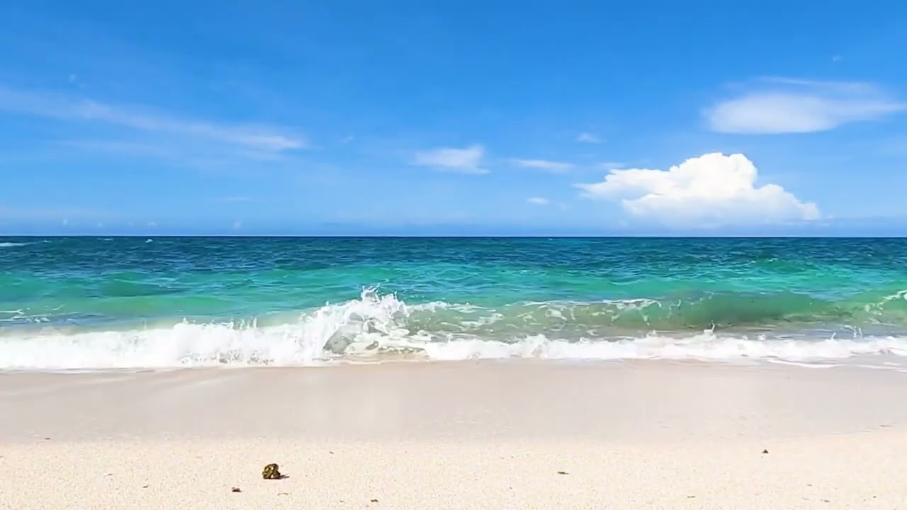 Gentle Ocean Waves for Deep Sleep 🌙 Relaxing Sea Sounds for Stress Relief & Insomnia