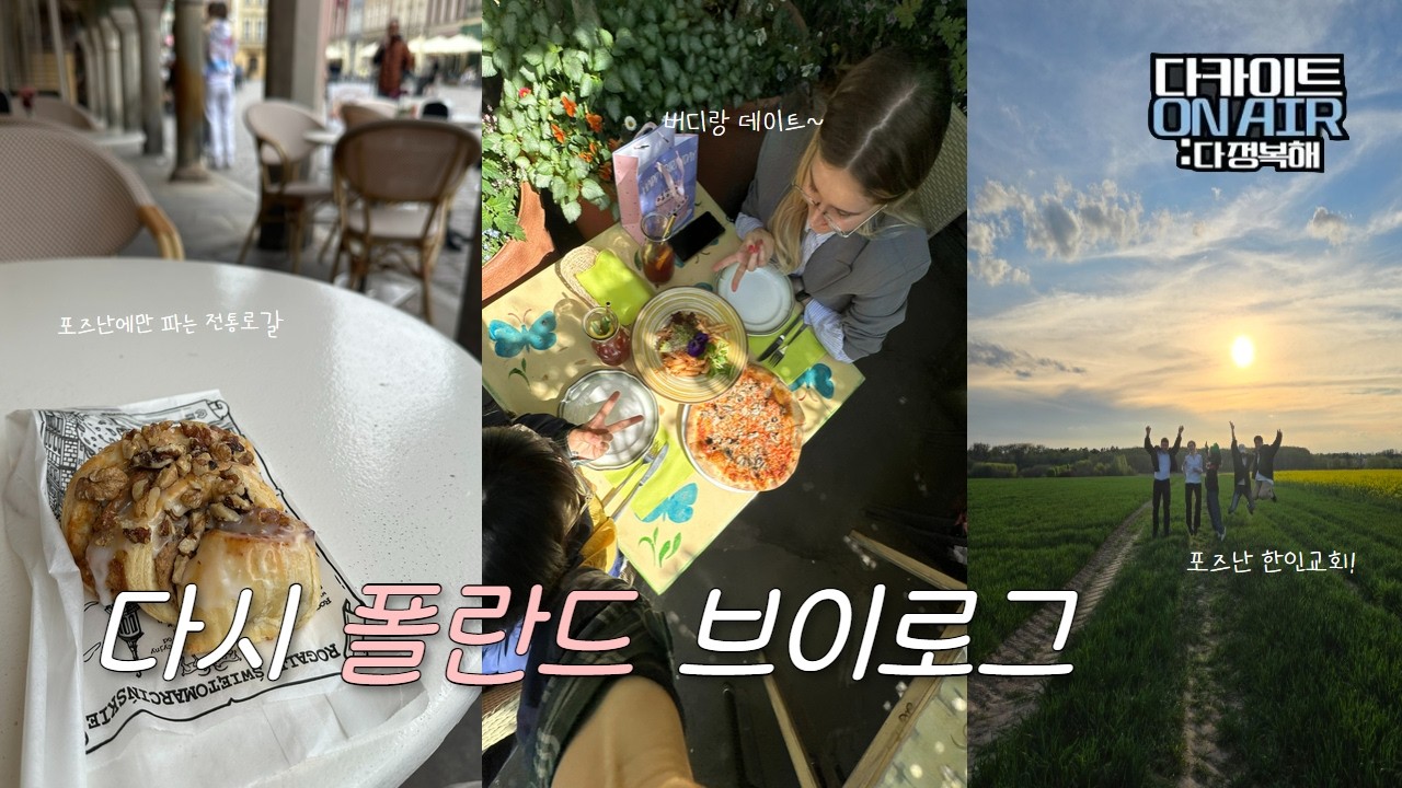 [🇵🇱다카이트 ON AIR: 다 정복해] 다시 폴란드로.. 일상 그리고 여행 브이로그!!! 난 폴란드가 좋다..
