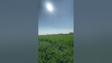 My First Vlog 2024 | My First Mini Vlog 2024 | #myfirstvlog2024 #myfirstvlogviral2024 #minivlog2024