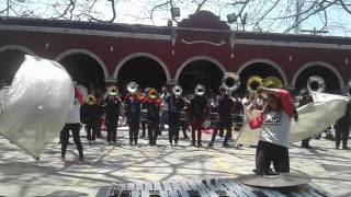Tigers Marching Brass Liceo Minerva DJ Got Us Fallin' In Love