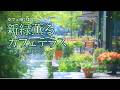 新緑薫るカフェテラスのやさしい軽やかジャズ【カフェBGM】