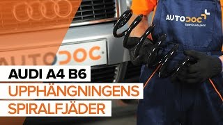 Montering Framfjäder och bakfjäder AUDI A4 (8E2, B6): gratis video