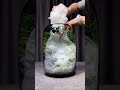 1️⃣Micro Landscape Green Oasis Glass Vase — A Tiny Living World Sitting on Your Desk