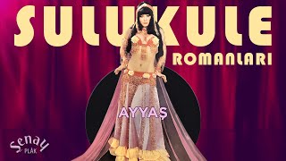 Sulukule Romanları Ayyaş