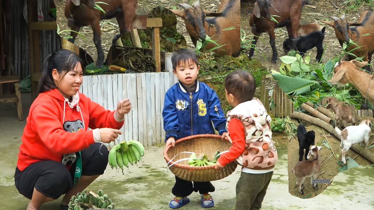 Мать-одиночка готовит спринг-роллы — сельская жизнь.