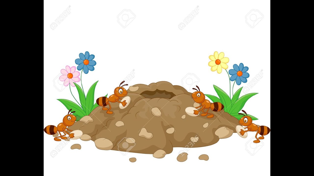 A Lesson From The Ant Proverbs 6 6 6 6 YouTube A lesson from the ant proverbs 6 6 6 6 youtube