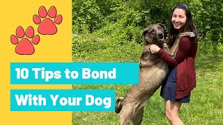 10 Tips for a Stronger Bond with your Service Dog (or ANY dog!) | SD Training Tips