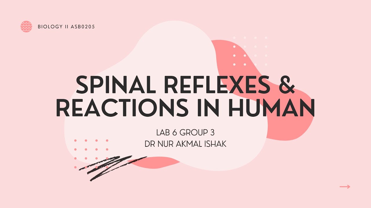 LAB 6 BIOLOGY GROUP 3 YouTube