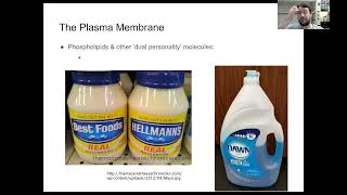 BI 101 Module 5 Lecture Video Part  1   Cell Membranes and Transport Source