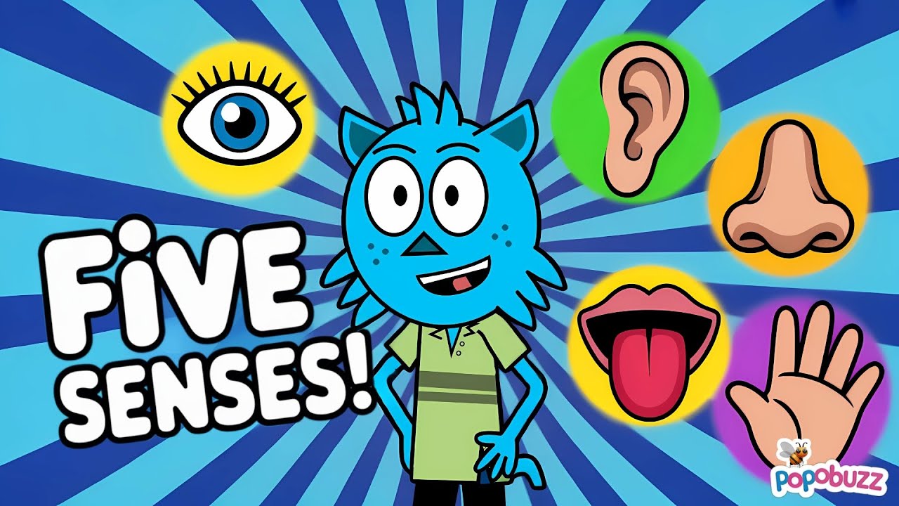 Learn Five Senses for Kids with Sense Organs | Sight, Hearing, Smell, Taste and Touch!