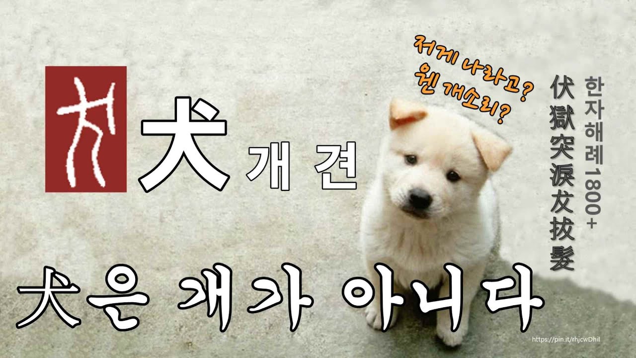 [한자해례1800+] 287강 犬(개 견)은 개가 아니다! - YouTube