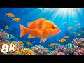 Dream Aquarium 8K VIDEO ULTRA HD 🐠 Beautiful Coral Reef Fish &amp; Deep Sleep Music