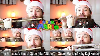 The Princesss Secret Slide (aka Slider) - from Super Mario 64 // FLUTE COVER  //