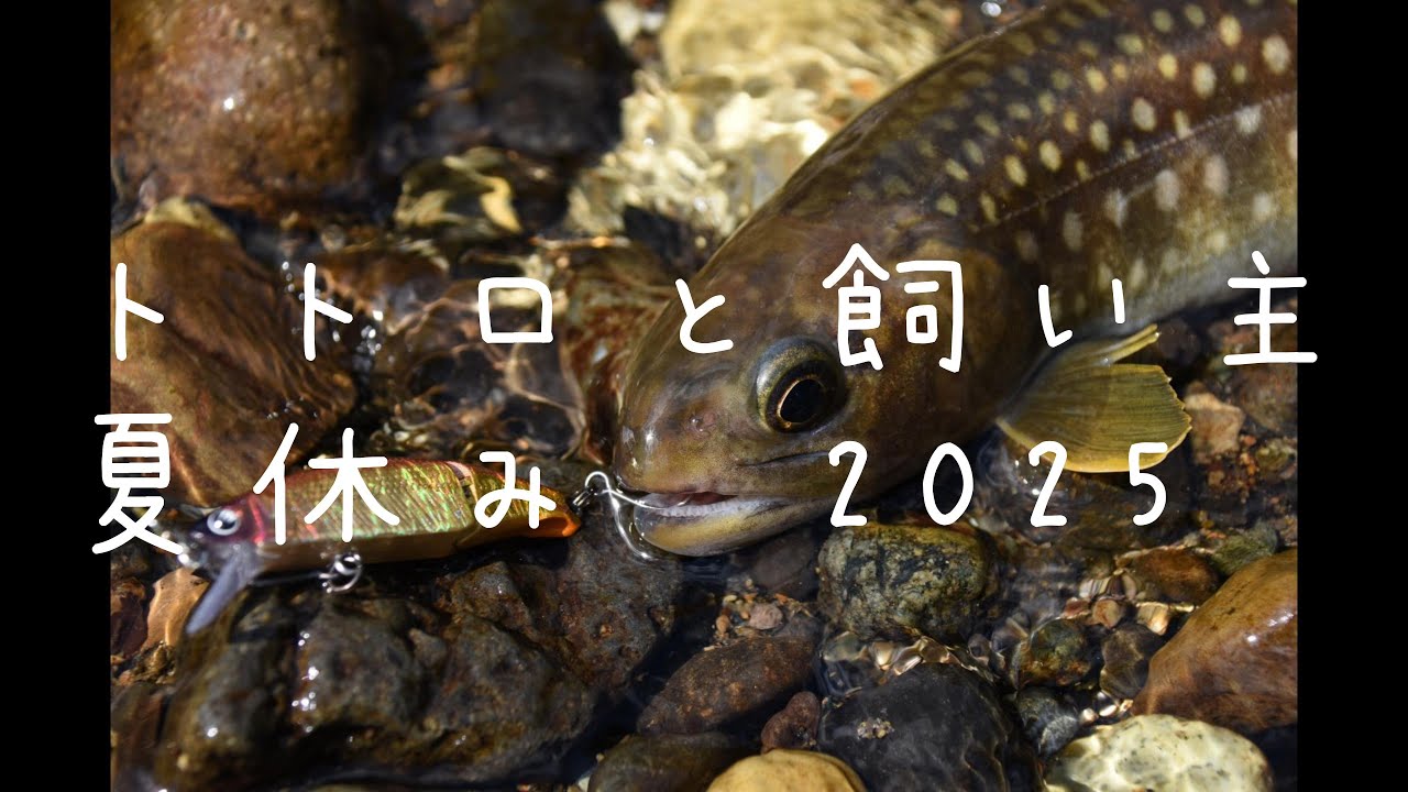 トトロと飼い主夏休み 2025 その一