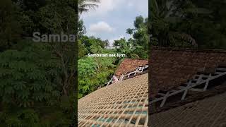 Wong Jowo Ojo Ilang Jowone