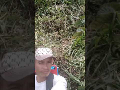 11 De Octubre De 2022