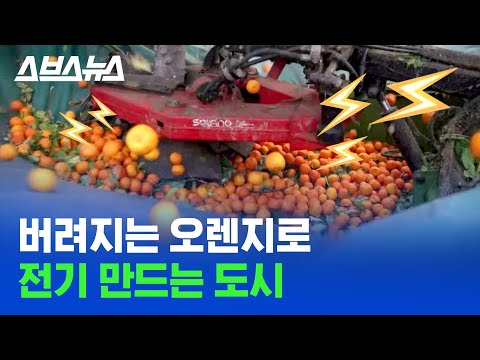 하다 하다 오렌지로 전기 만드는 현대 기술 클라스 (feat. 삐까⚡️) / 스브스뉴스