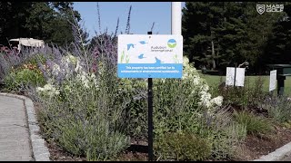 Audubon in Mass Golf Episode 1 | Needham GC with Tim Hood