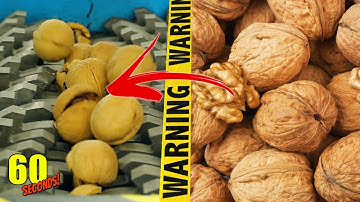 60 SECONDS Experiment - SHREDDING VS Walnut | CRASH TEST