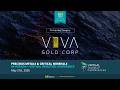 Viva Gold Corp. — Precious Metals &amp; Critical Minerals Hybrid Conference VIC 2026