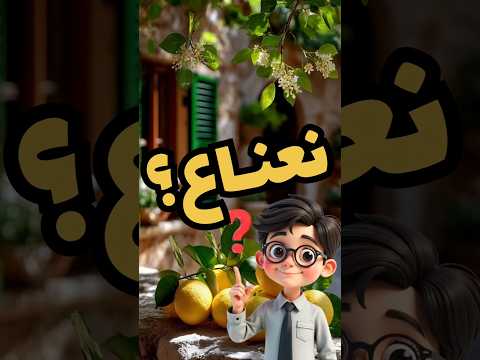 هل يستحق نعناع منثول   