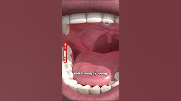 VÌ SAO MIỆNG CHÚNG TA BUỔI SÁNG CÓ MÙI HÔI | 🤔 (Bạn Biết Không) #fact #thaukinhtrithuc