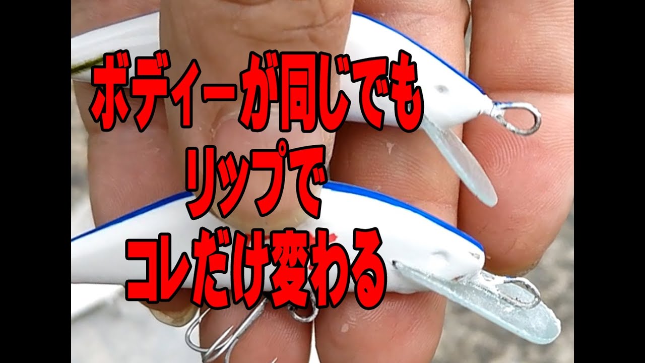 リップの種類で大きく変わる！シンキングミノーはこう作る！Swimming changes depending on the　 type of lip　Making lure