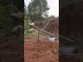 Fruit orchard bird repelling device