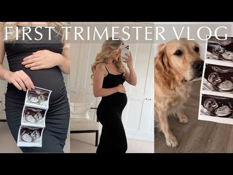 FIRST TRIMESTER VLOG | weeks 4 - 13 pregnancy after loss