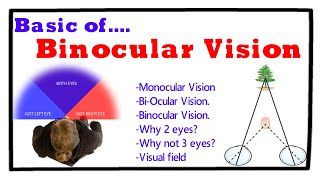 Basics of Binocular vision