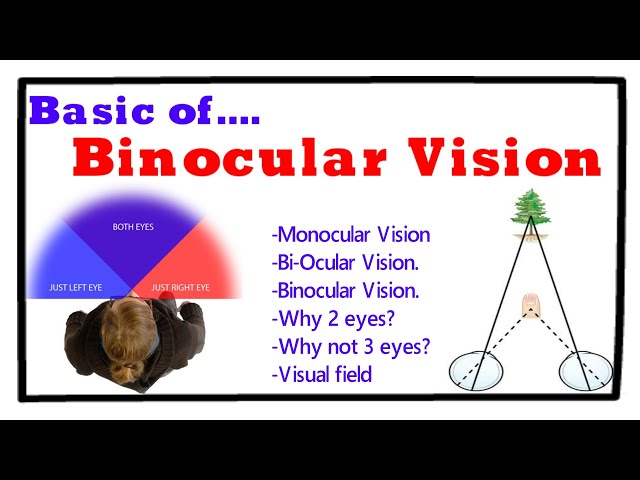 Normal Binocular Field Of Vision