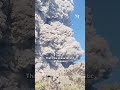 Indonesia guide catches early stages of Mount Dukono eruption on video