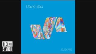 David Bau - Acid Trip