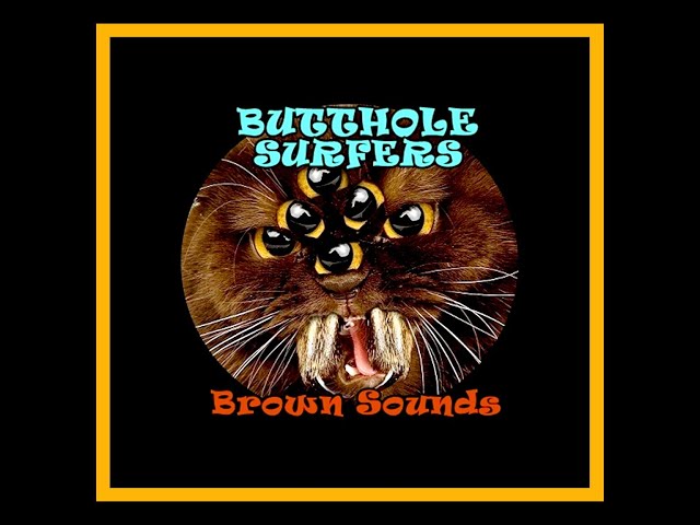 The Butthole Surfers - Brown Sounds (Complete Bootleg) - YouTube