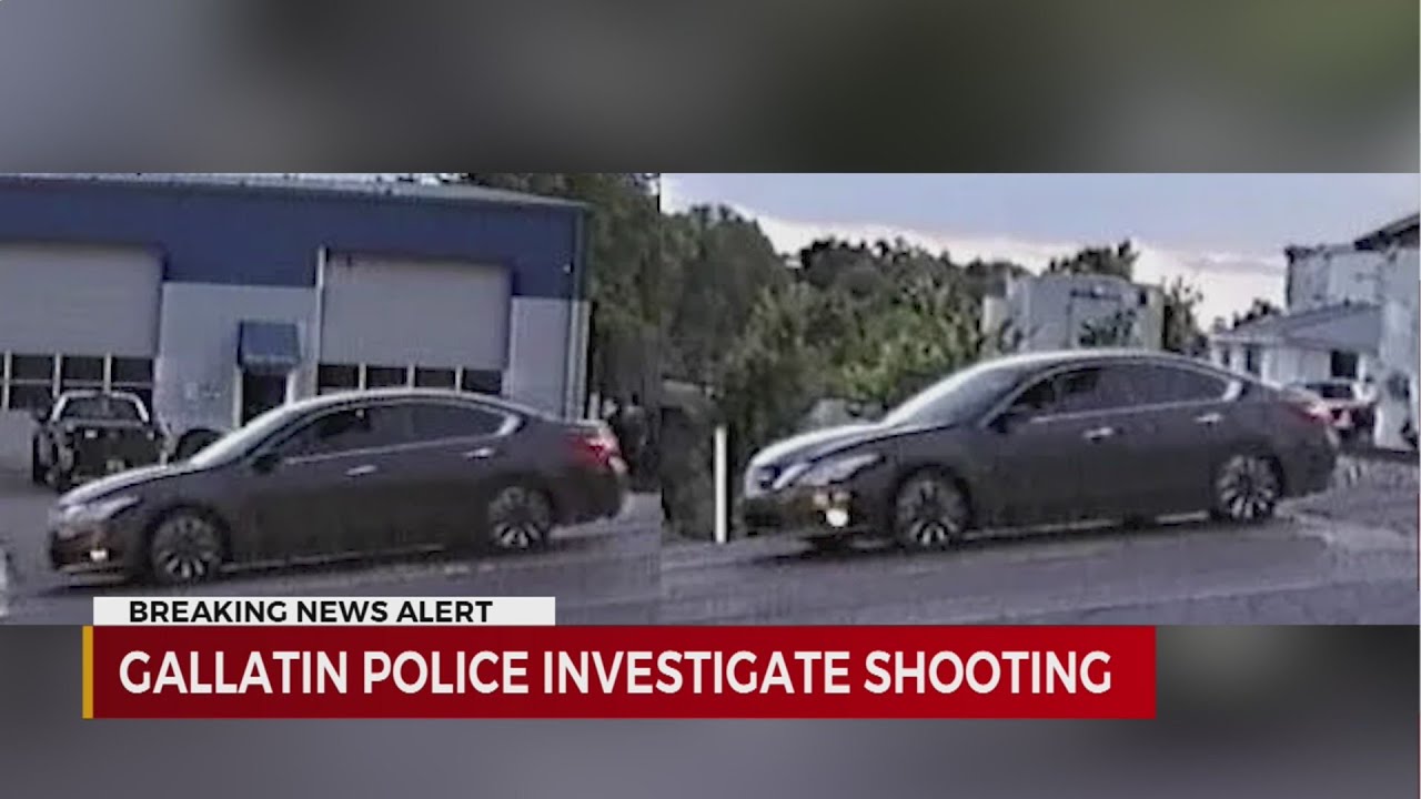 Police investigating shooting in Gallatin YouTube