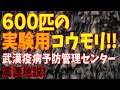 コウモリに噛まれたり尿をかけられたコトが原因？600匹のコウモリを実験用として入手していた？