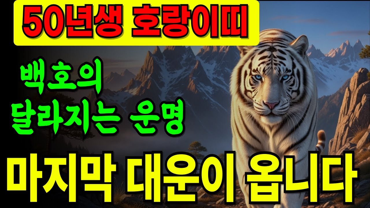 50년생 호랑이띠 77세 이후 펼쳐질 놀라운 운명 #50년생 #호랑이띠 #재물운