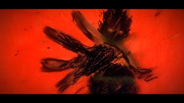 GHOSTEMANE – Polaris