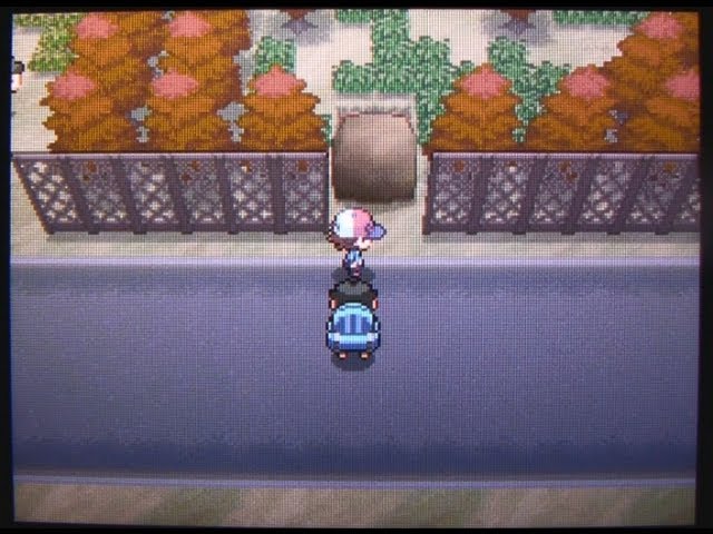 Route 16 - To Gym 4 - Main Walkthrough, Pokémon: Black & White 2