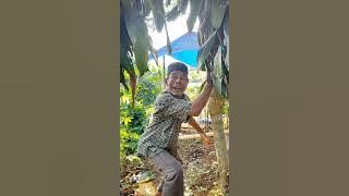 GARA GARA BAGI UANG