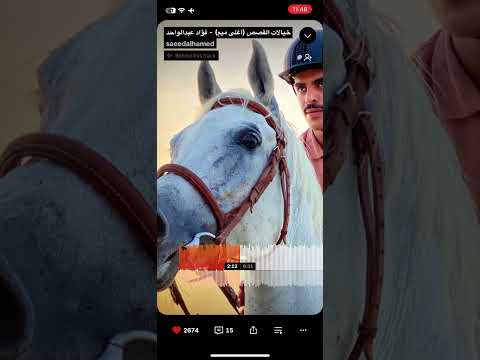 خيالات القصص فؤاد عبد الواحد