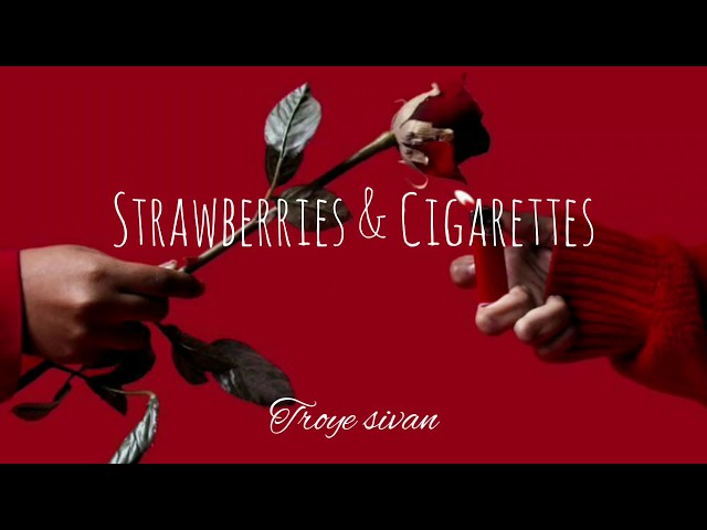 Troye Sivan - Strawberries & Cigarettes | Lyrics Video class=