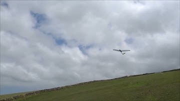 Angel Wing Designs Pug V2 Vee Tail Maiden Flight