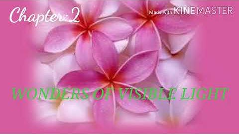 VII BASIC SCIENCE - WONDERS OF VISIBLE LIGHT-PART 1